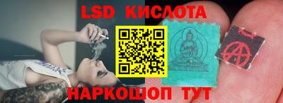 spice Заводоуковск