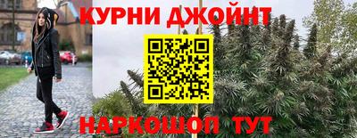 spice Заводоуковск