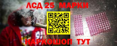spice Заводоуковск