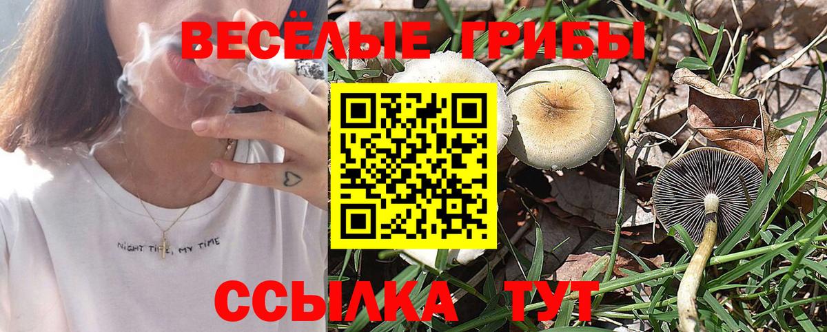 Муравленко  Галлюциногенные грибы MAGIC MUSHROOMS  Вход с VPN  Галлюциногенные грибы ЛСД 